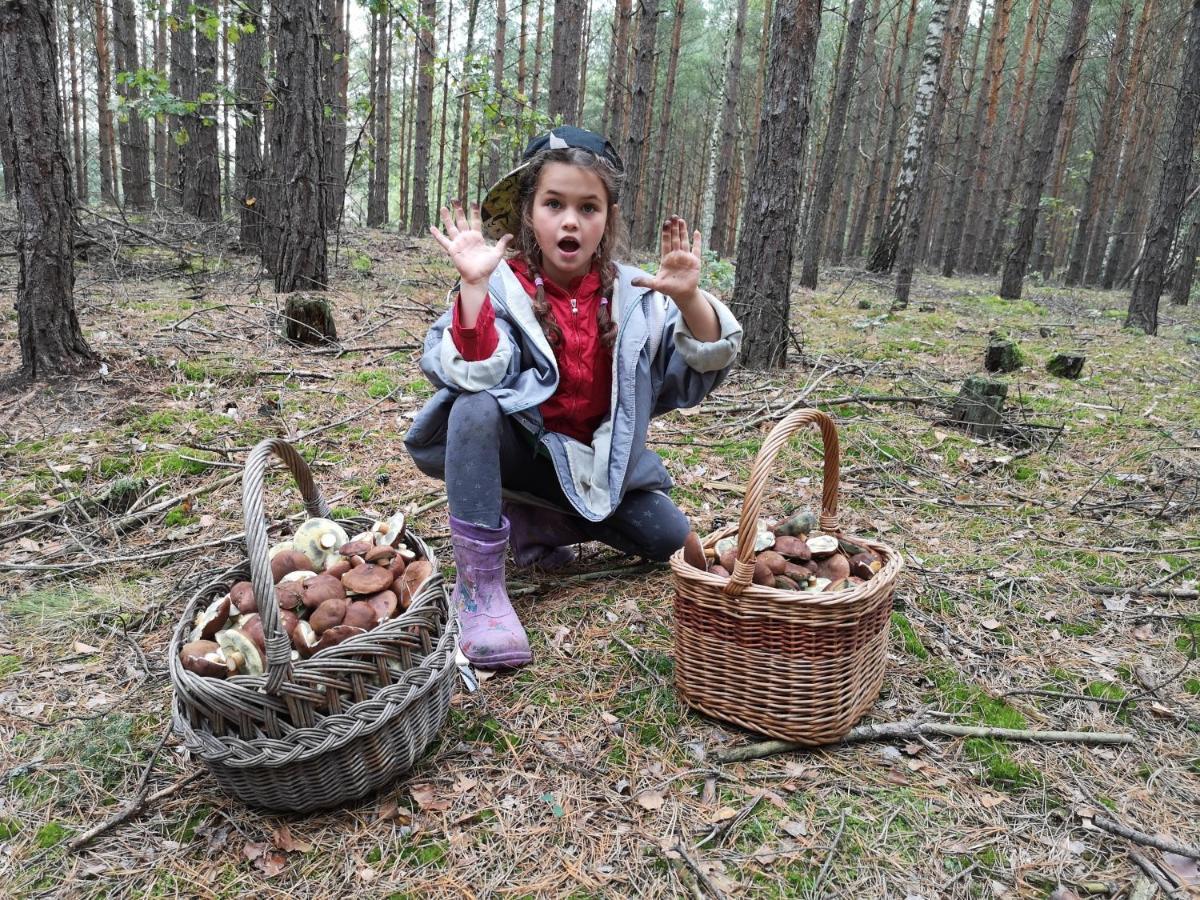 Agroturystyka Plener Miedzichowo 외부 사진